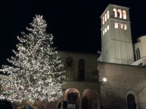 Natale basilica san francesco Assisi